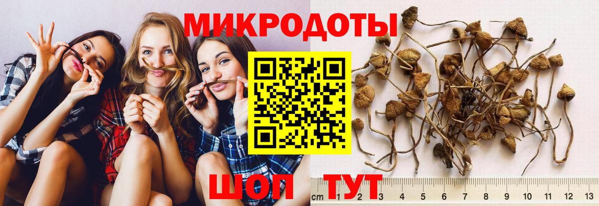Галлюциногенные грибы MAGIC MUSHROOMS Всеволожск